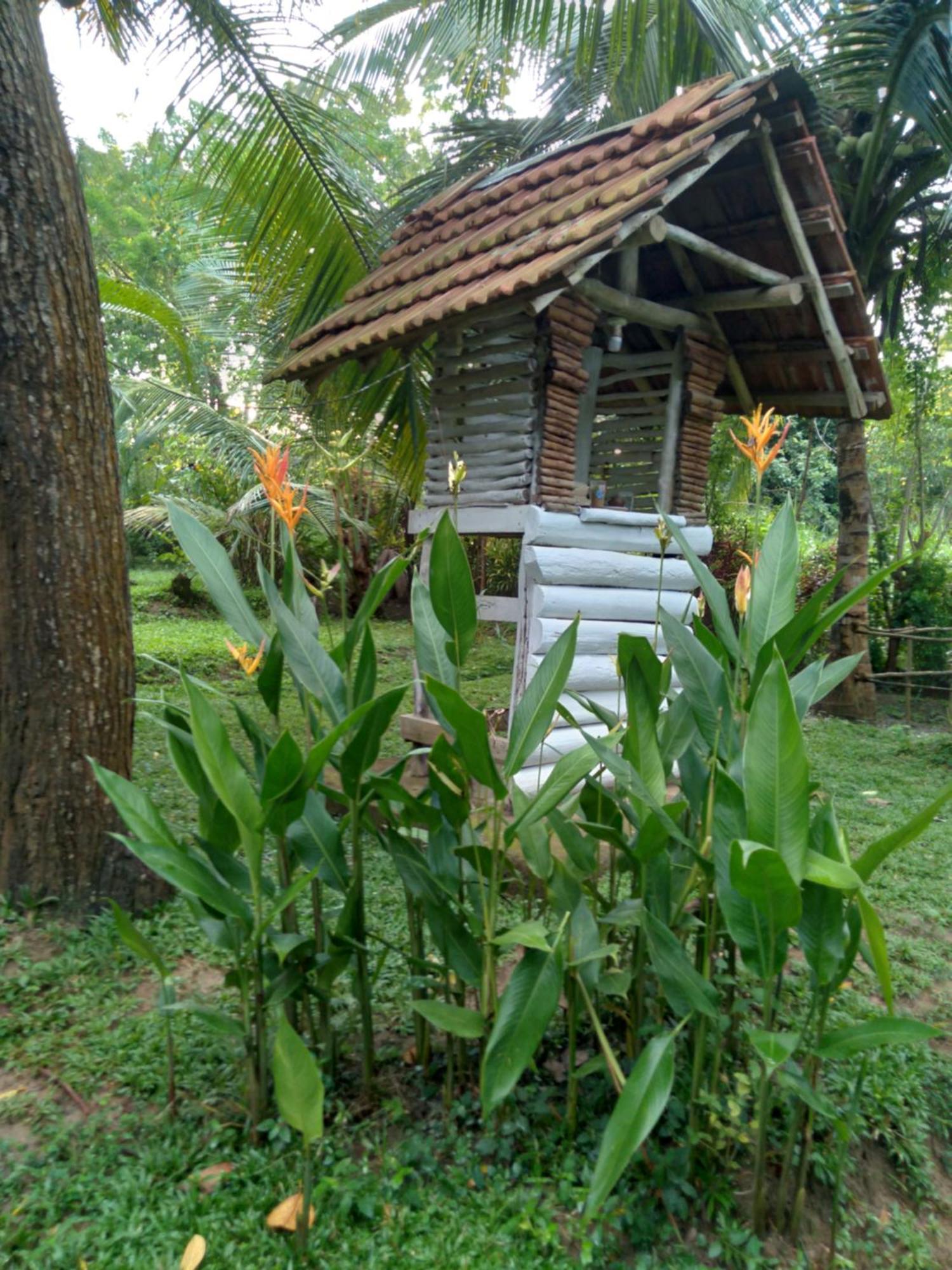 Home In The Island Tangalle Zewnętrze zdjęcie