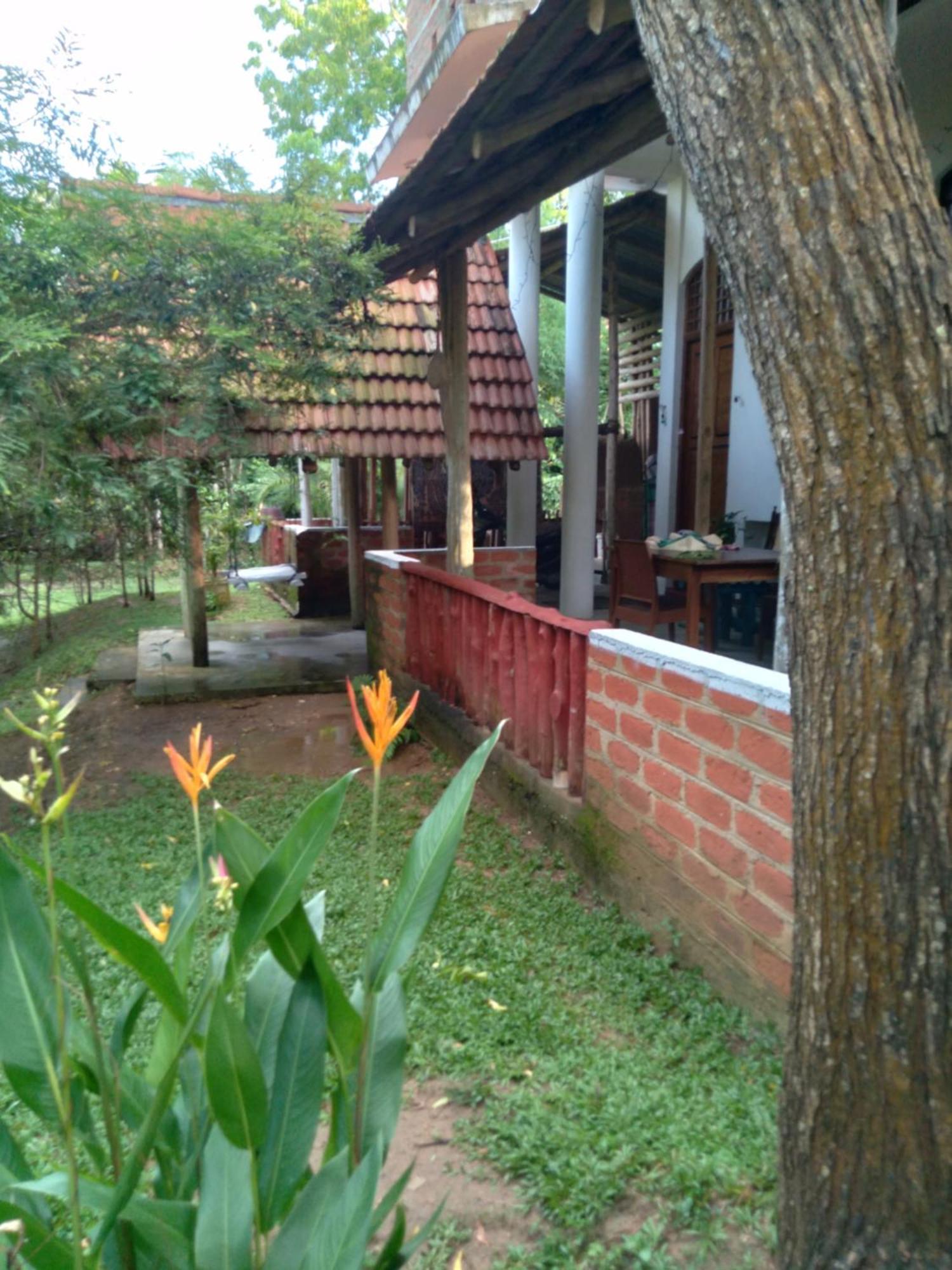 Home In The Island Tangalle Zewnętrze zdjęcie